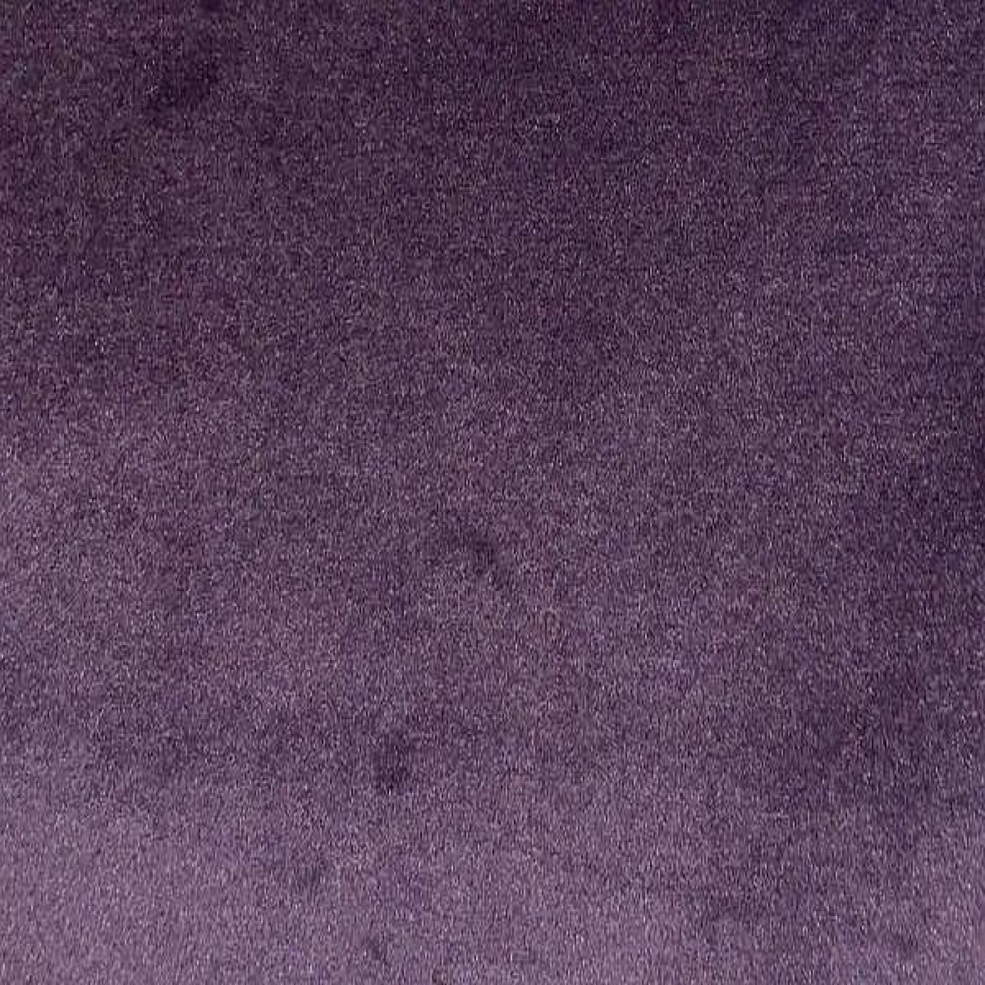 Scarlet 28 Violet