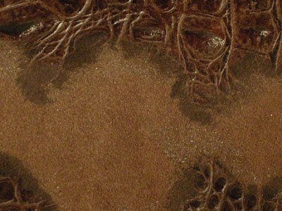 473 Cat 4B : Embossed Croco.Burgundy