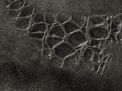 475 Cat 4B : Embossed Crocodile Black Matte