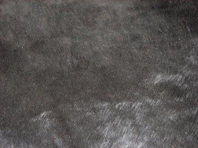 500 Cat 5 : Pony Black