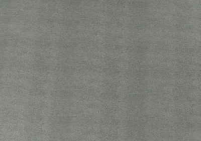 ECO Nabuk Light Grey Lizard - B005