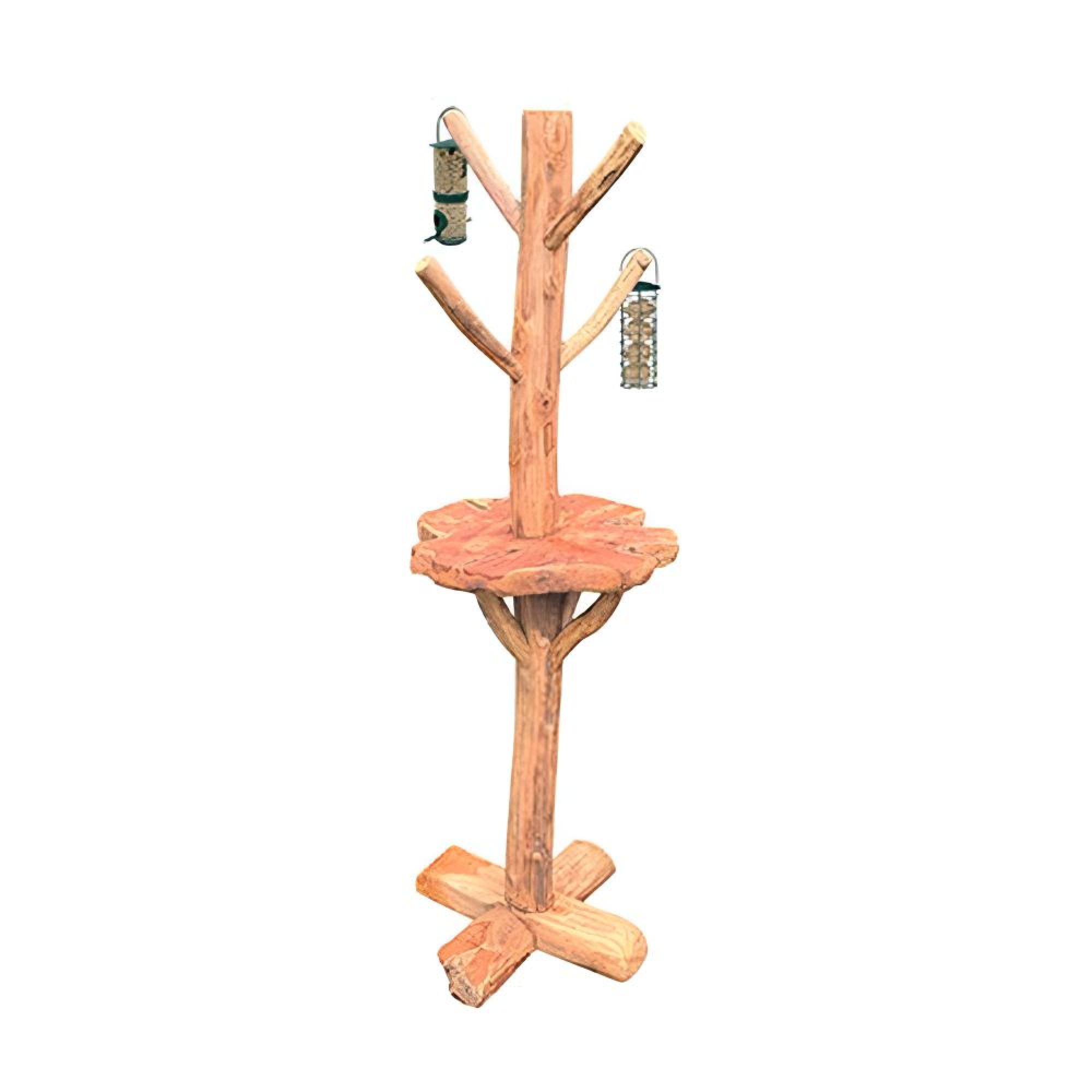 Teak Root - Bird Feeding Station