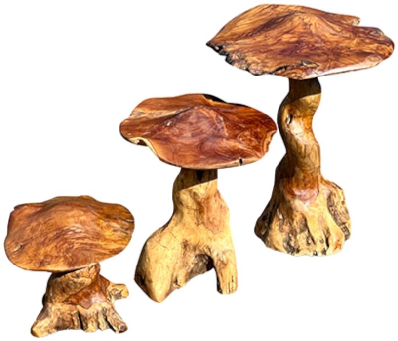 Teak Root Giant Wild Toadstools - Set of 3