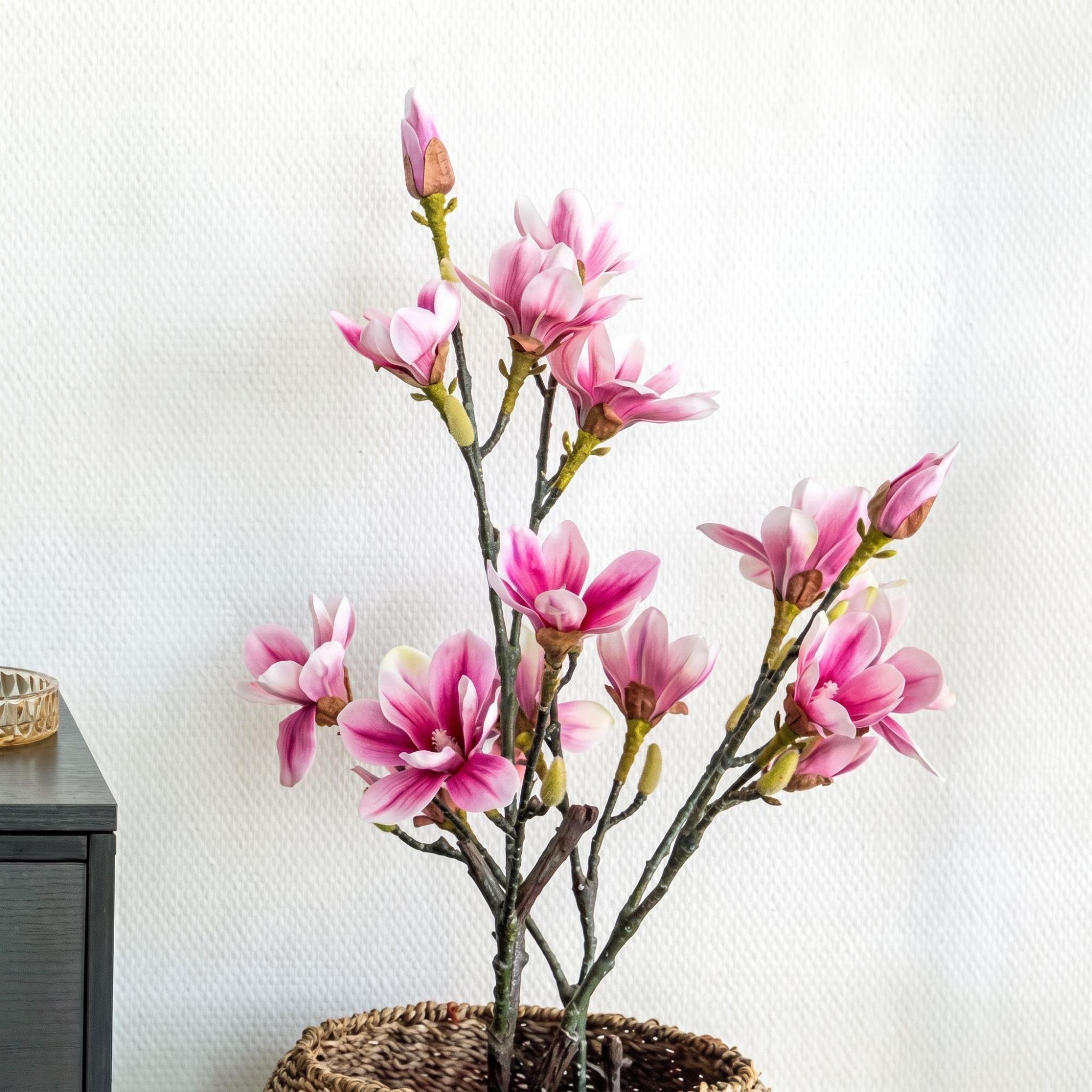 Rosa Magnolia Tree