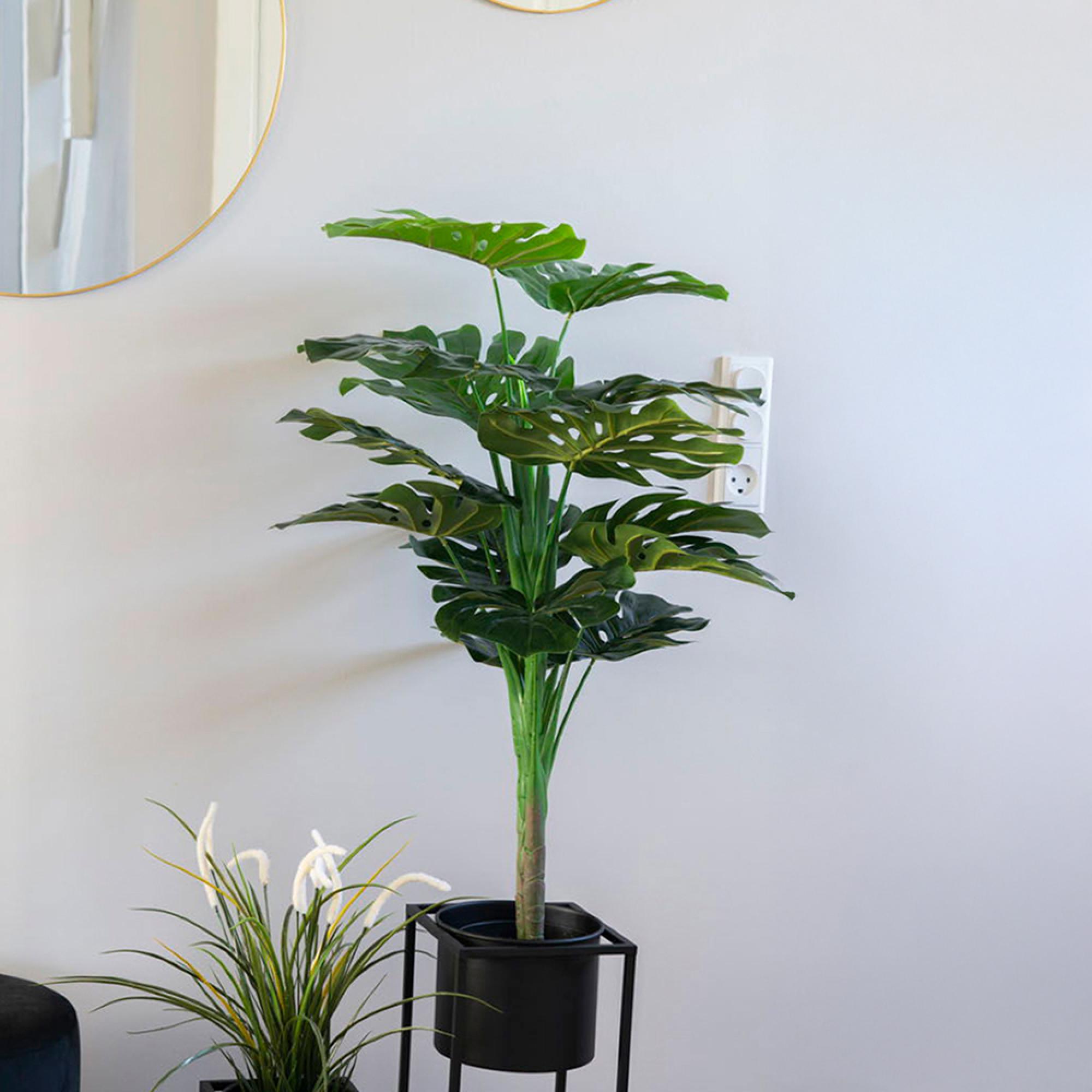 Plant - Monstera - Artificial