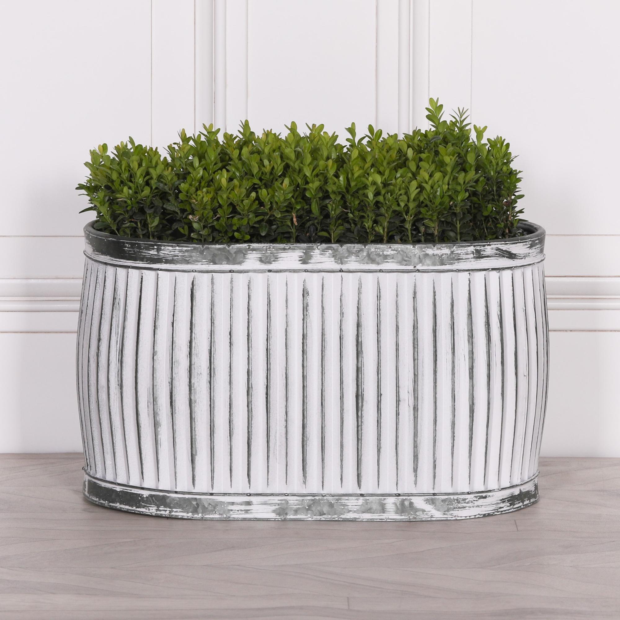 Cardiff Metal Planter - Tub - Oval - Medium
