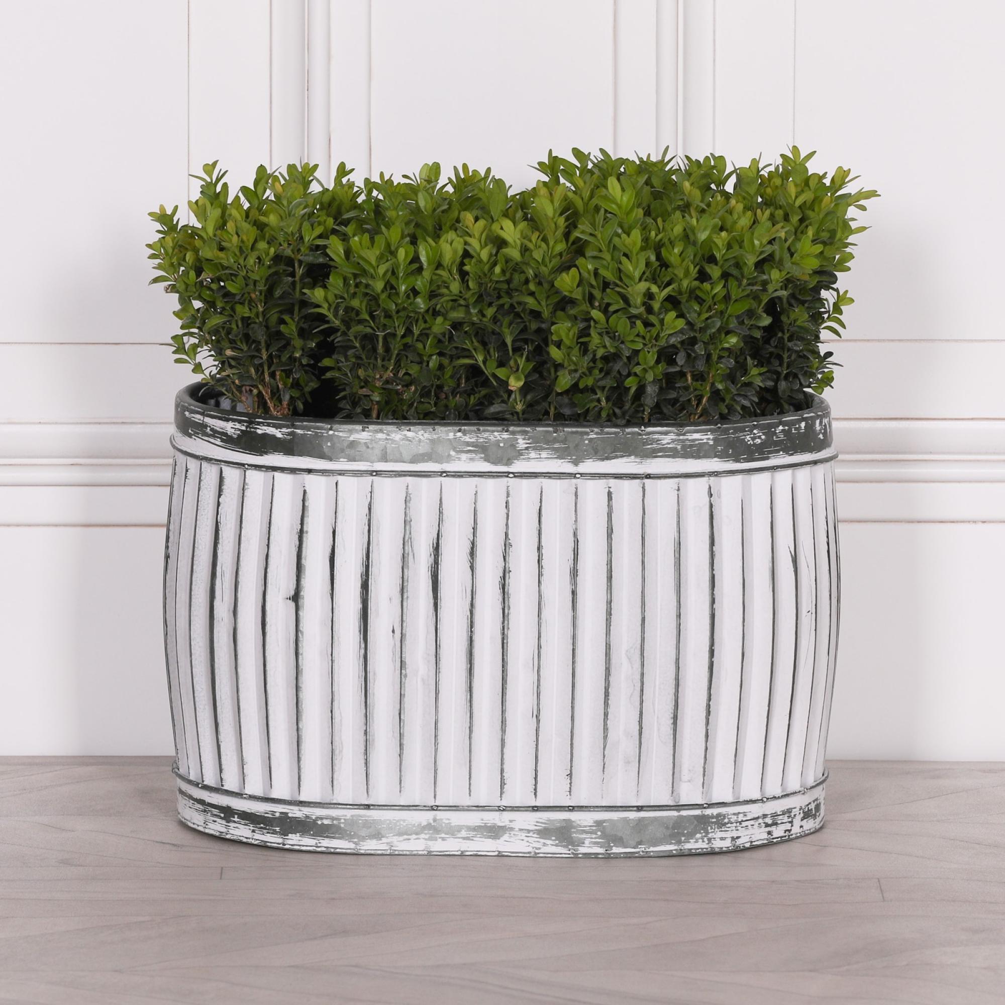 Cardiff Metal Planter - Tub - Oval - Small