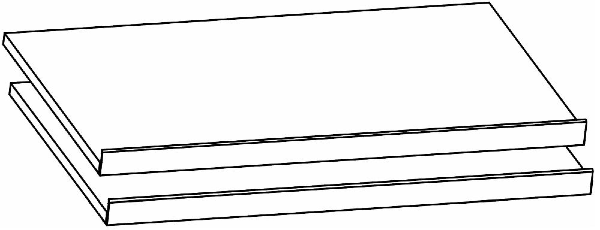9FG2 : Shoe Shelves (Set of 2)
