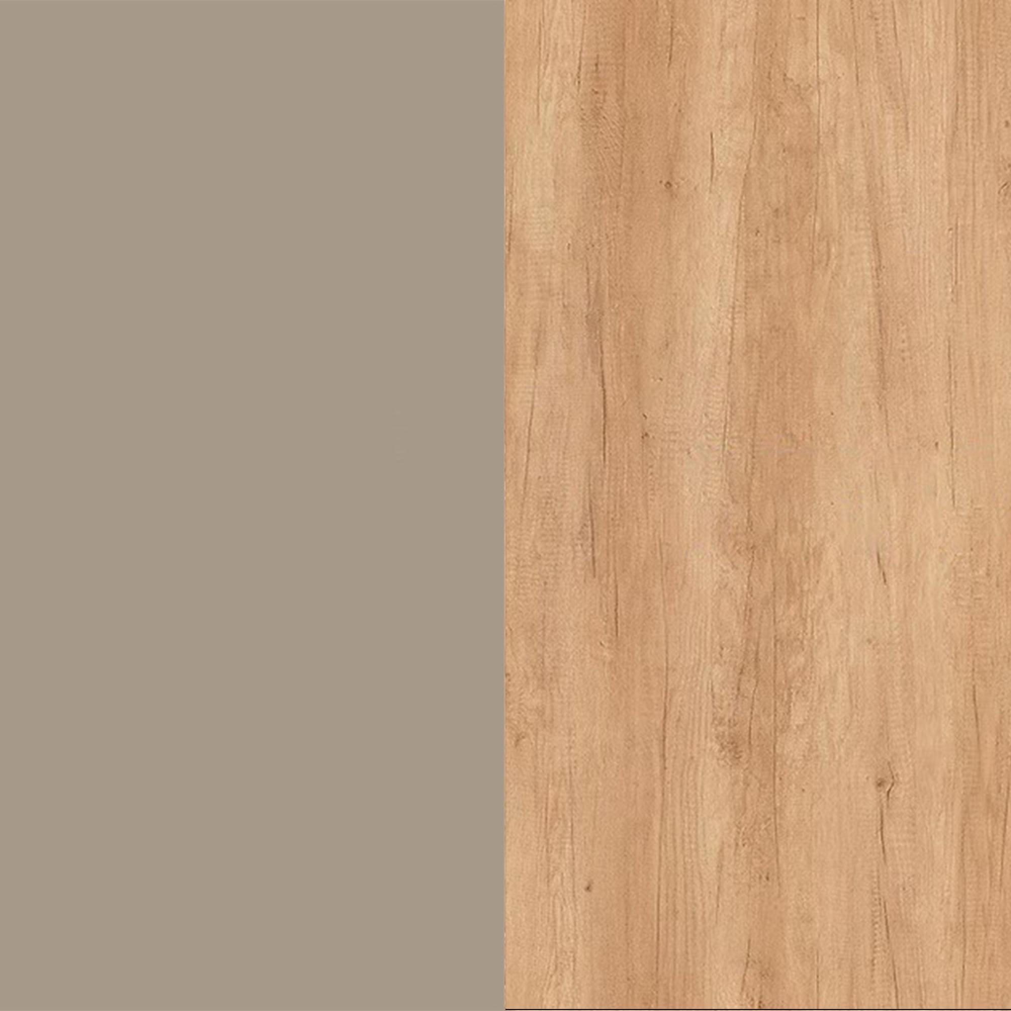 Mushroom Front and Nebraska Oak Base