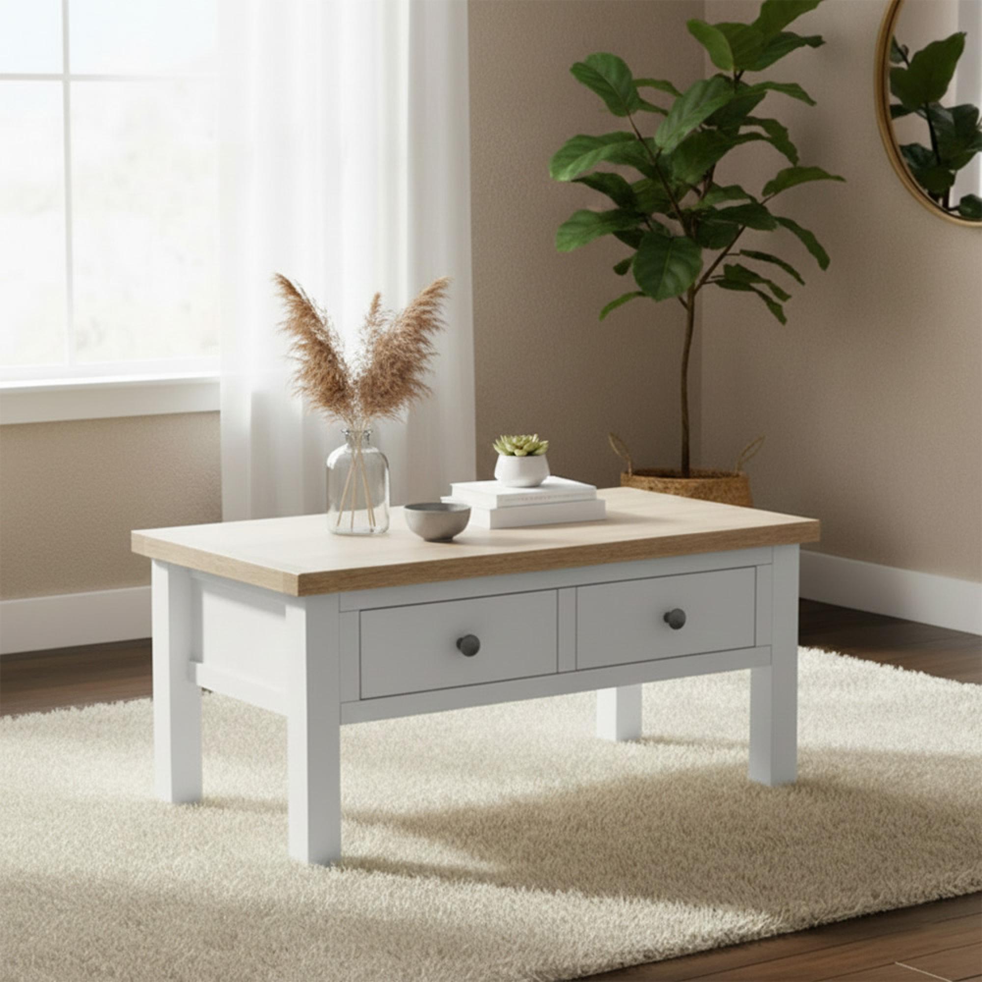 Modern Coffee Table - 2 Drawer - Grey Painted