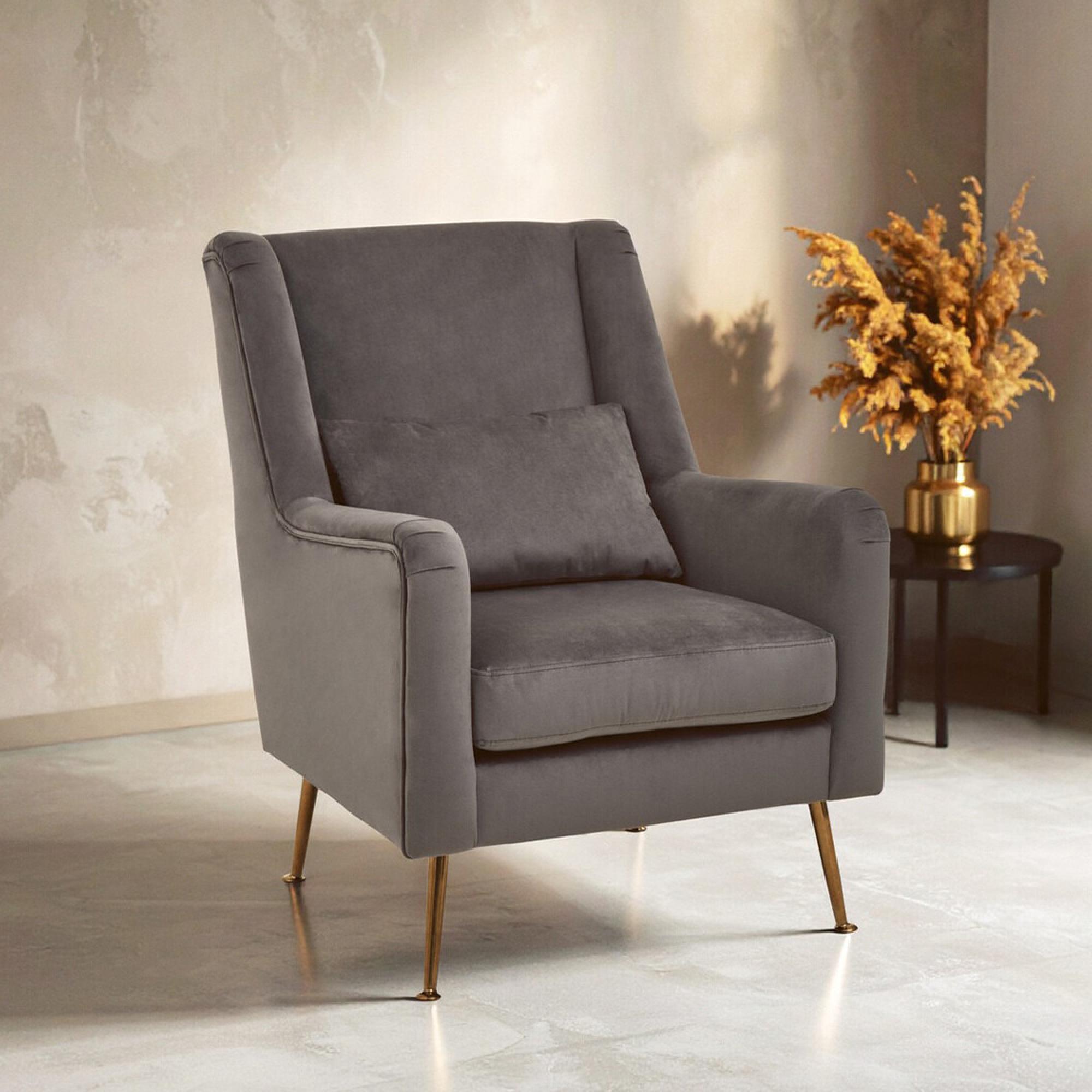 Doucet Armchair - Grey Velvet Fabric with Gold Legs