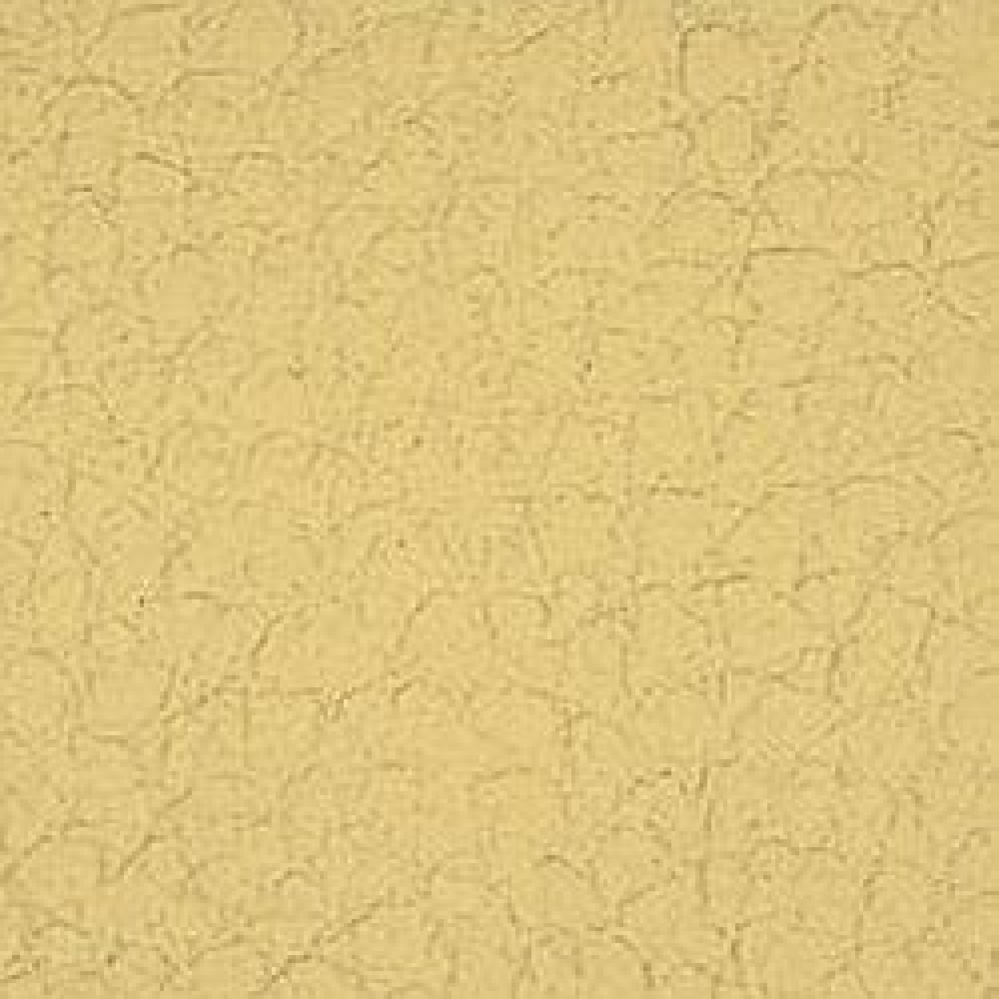Canaria - B003