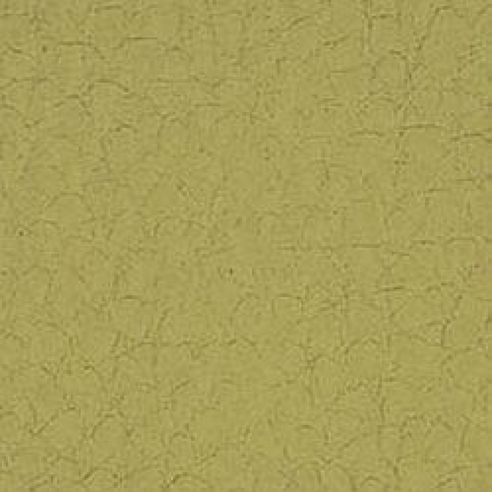 Lime - B010